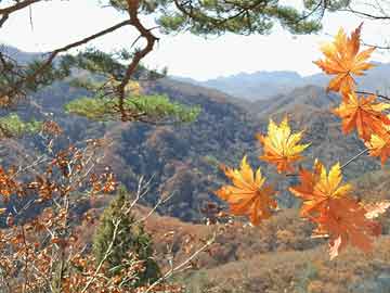 御極大明，與自然美景的親密旅行，探尋內(nèi)心平和之旅