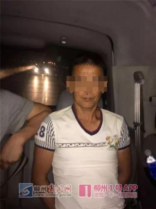 鹿寨最新租房信息，科技智能引領(lǐng)租房新體驗(yàn)