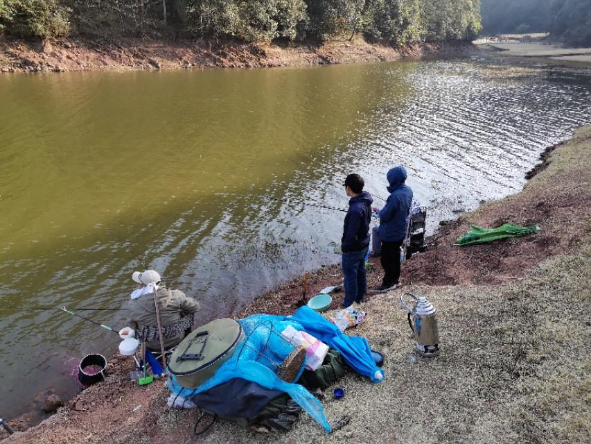 最新水庫(kù)釣魚視頻，探索釣魚樂趣與技巧全攻略