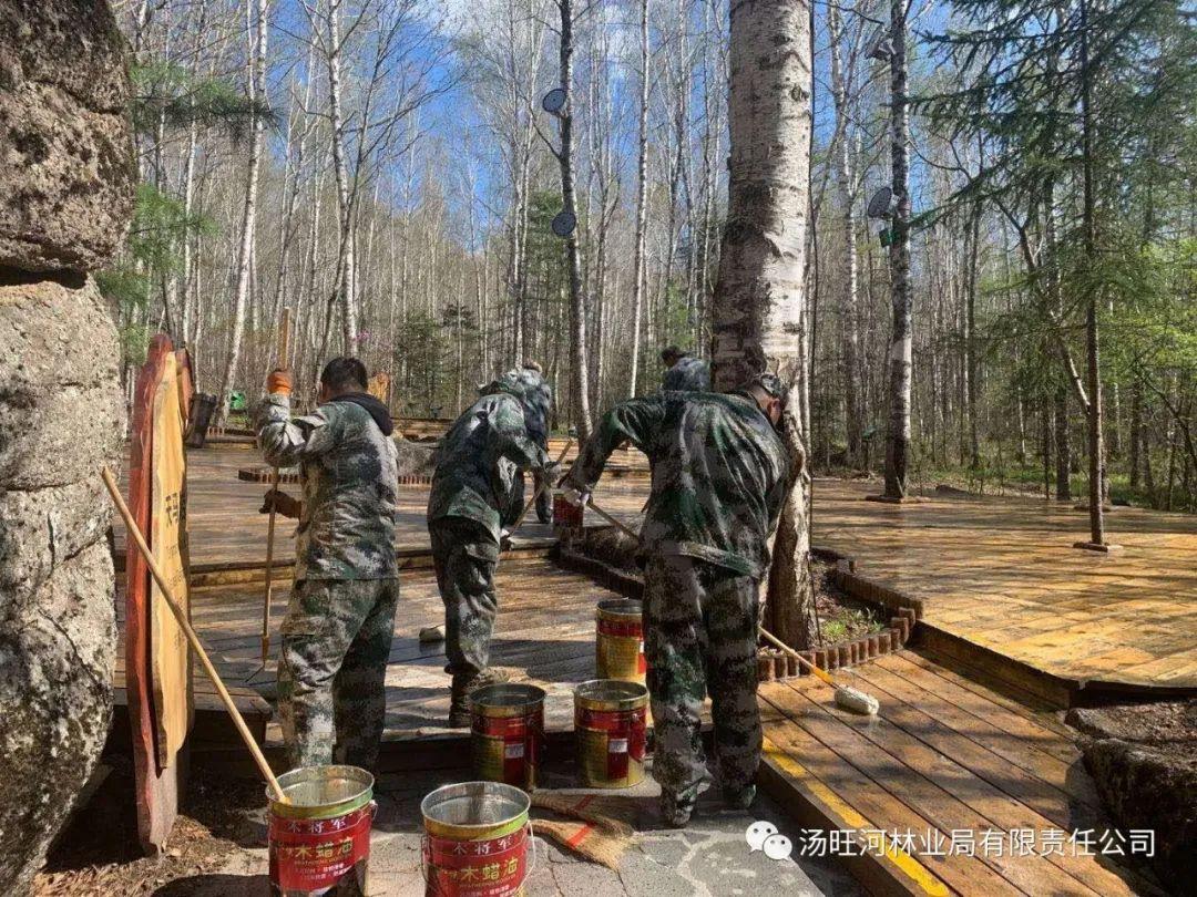 探尋神秘寶石世界的獨(dú)特魅力，最新奇石新聞報(bào)道