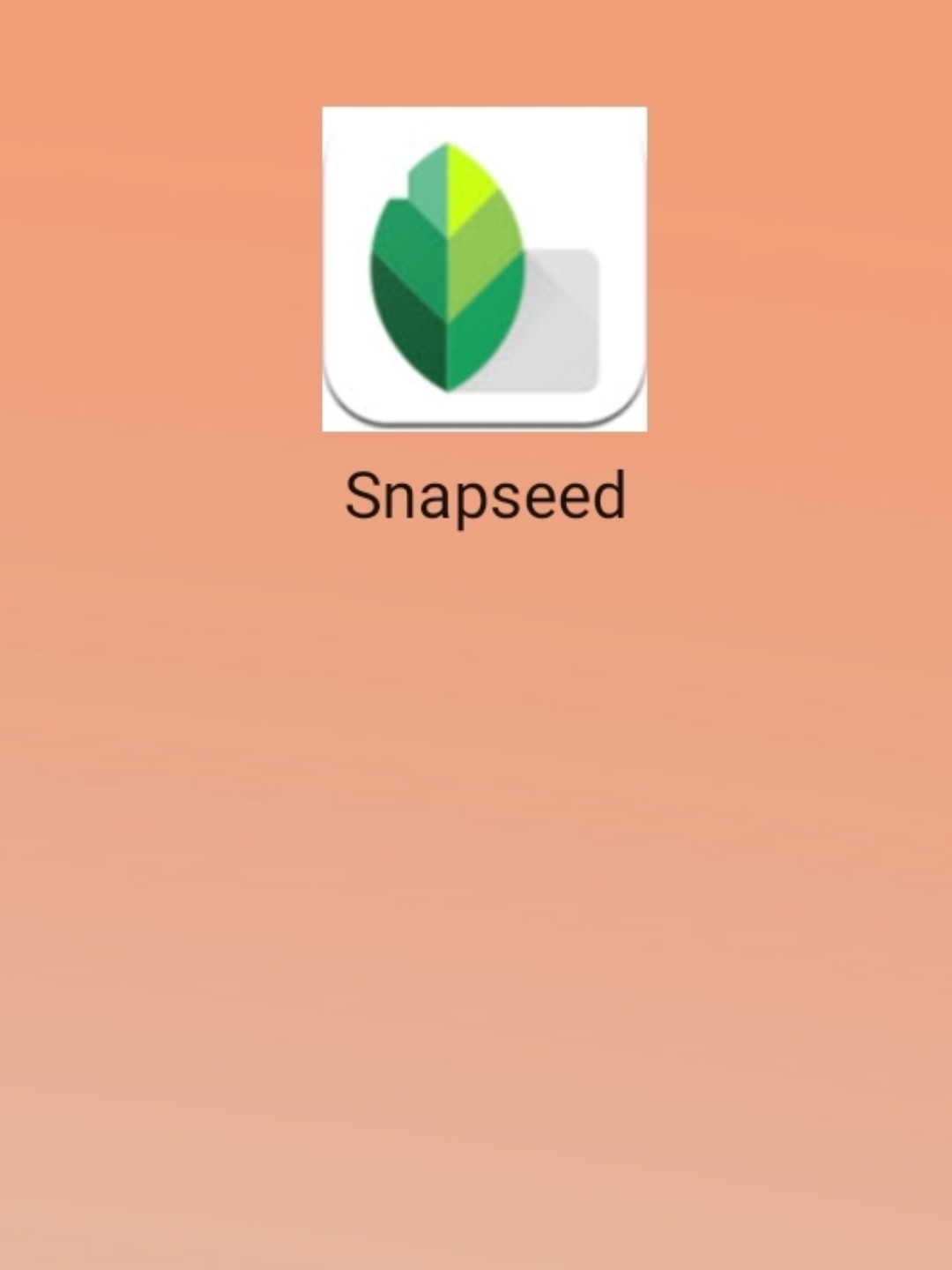 最新snapseed中文版，科技重塑影像，讓生活因攝影更精彩