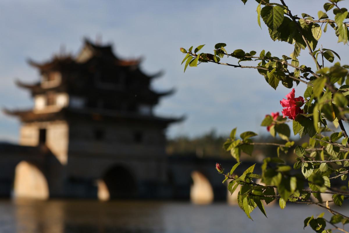 大冰最新力作，智能生活新紀(jì)元——科技與生活的完美融合