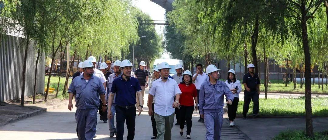 最新鍋爐工招聘信息揭秘，鍋爐工的溫馨日常故事探索