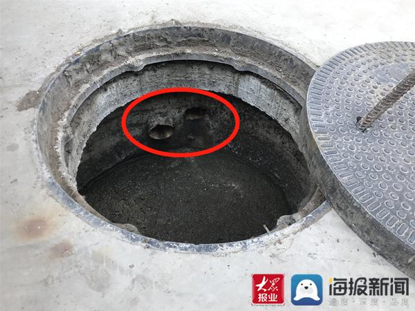 福建臺幫幫團(tuán)最新一期揭秘，小巷深處的隱藏美食瑰寶