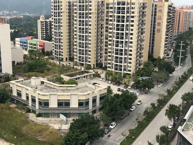 膠南山水雅居最新動態(tài)，鄰里日常趣事與情感紐帶分享