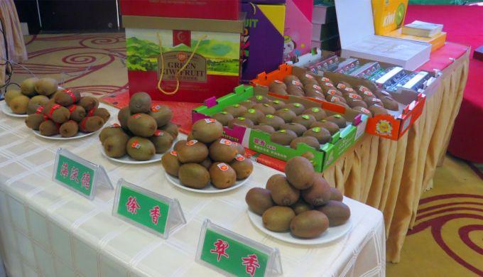 嘉興對接上海最新進(jìn)展，城市崛起中的自信與成就感展現(xiàn)新面貌