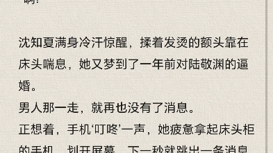 夏知晚官逸景最新章節(jié),夏知晚官逸景最新章節(jié)，探尋故事的魅力轉(zhuǎn)折