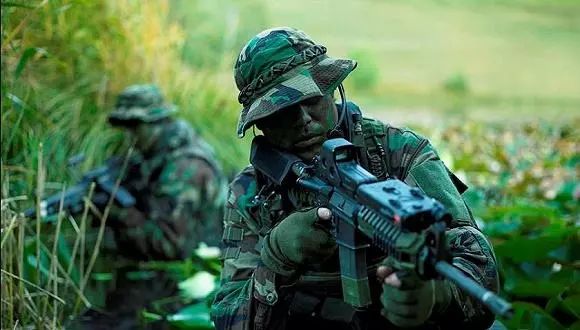 特種部隊(duì)小組最新版本，時(shí)代背景下的英勇先鋒