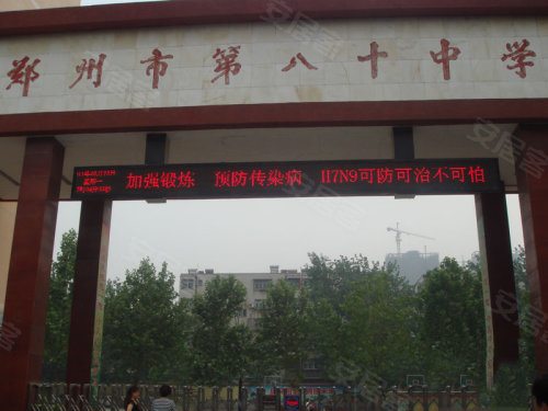 中原區(qū)九龍城最新動(dòng)態(tài)深度解析，最新進(jìn)展與觀點(diǎn)闡述