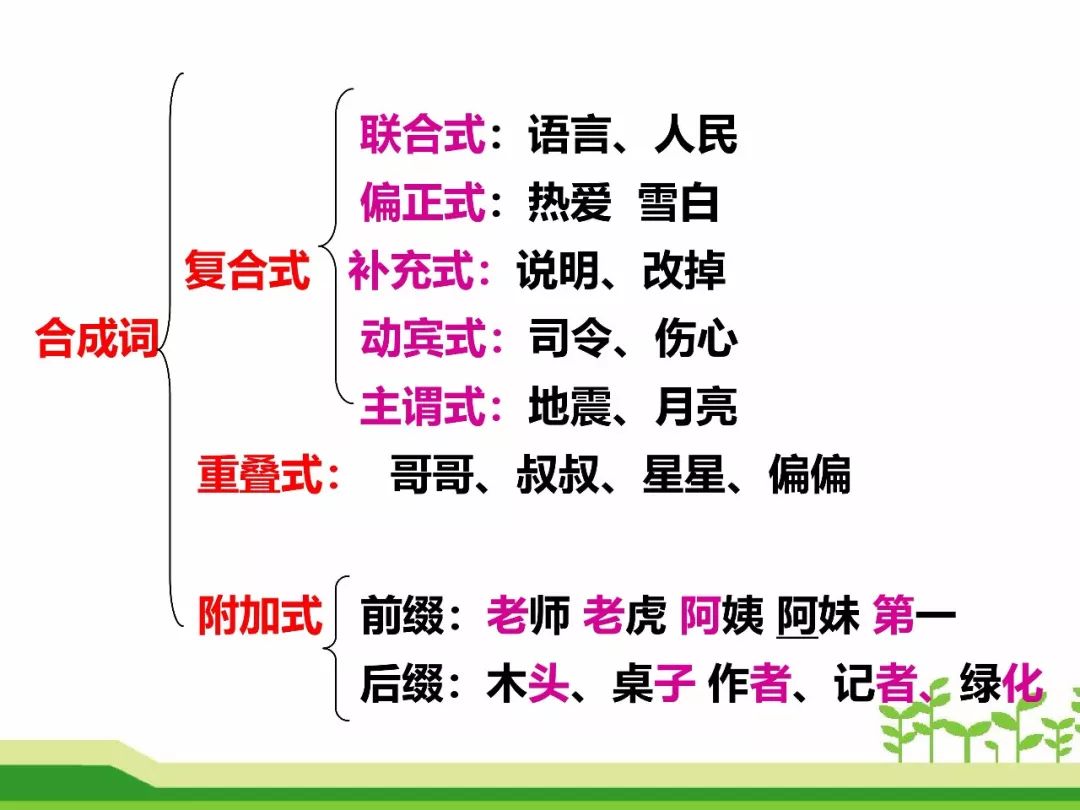 最新合成詞，語言發(fā)展的微觀視角探索