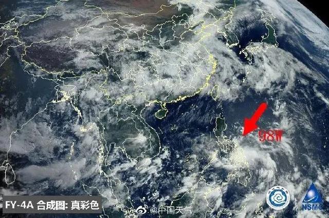 臺風鸚鵡的最新動態(tài)，逆風翱翔的力量與學習魅力