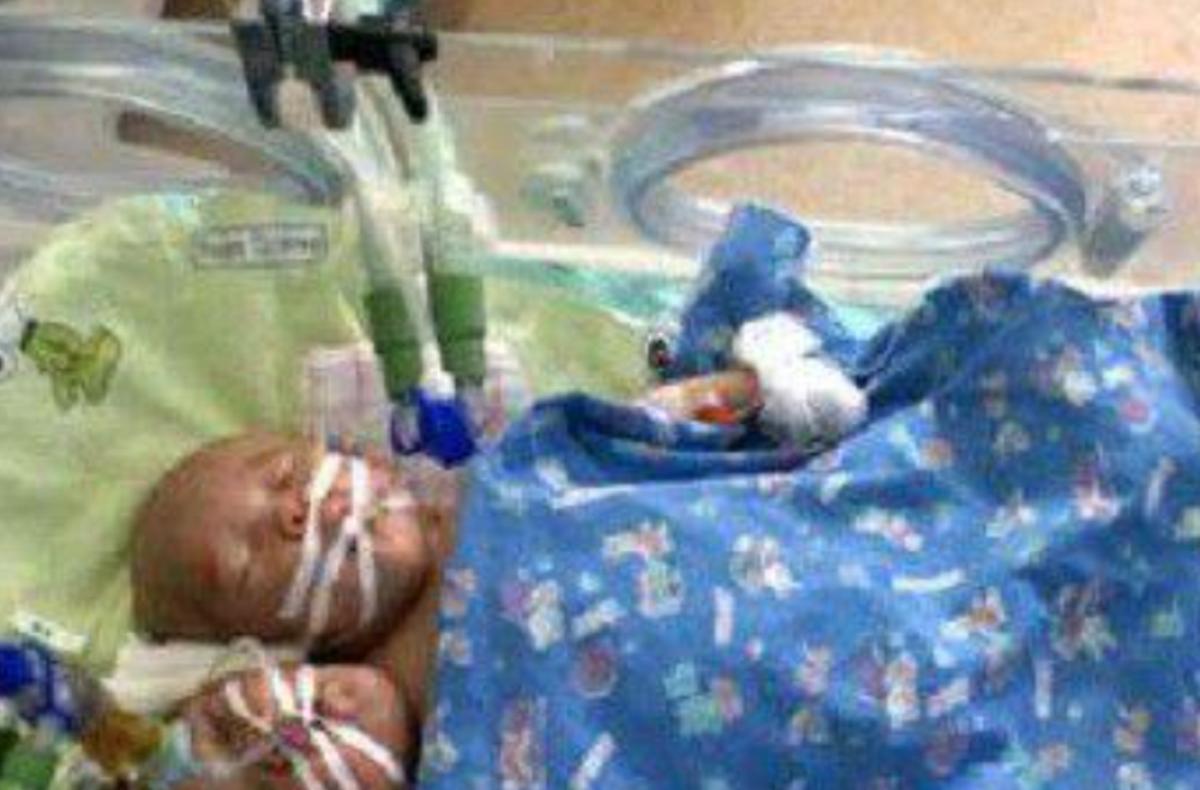 雙頭姐妹，時(shí)代背景下的傳奇故事最新進(jìn)展