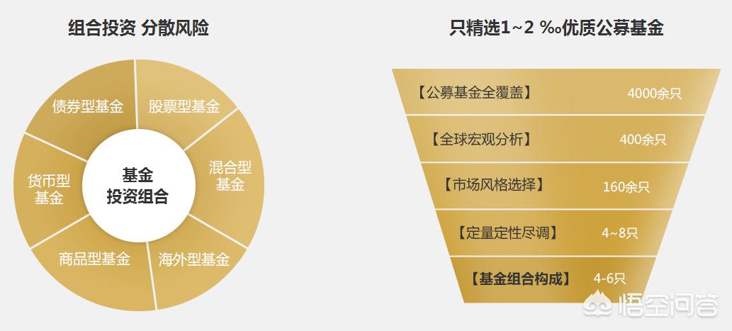 深度解析，今年養(yǎng)雞產(chǎn)業(yè)趨勢(shì)與前景展望