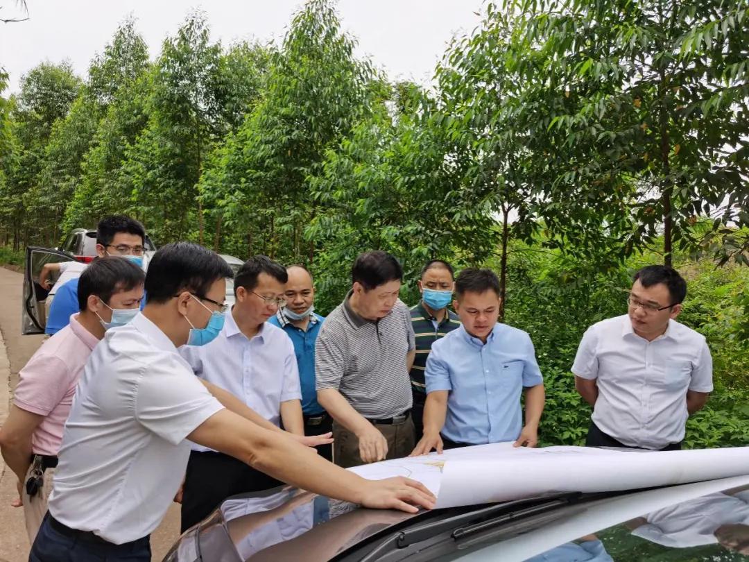 南寧龍象谷最新資訊，游玩指南與技能學(xué)習(xí)步驟全解析