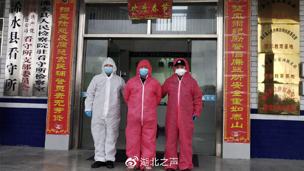 浠水最新疫情,浠水最新疫情下的自然探索之旅，尋找內心的寧靜與平和