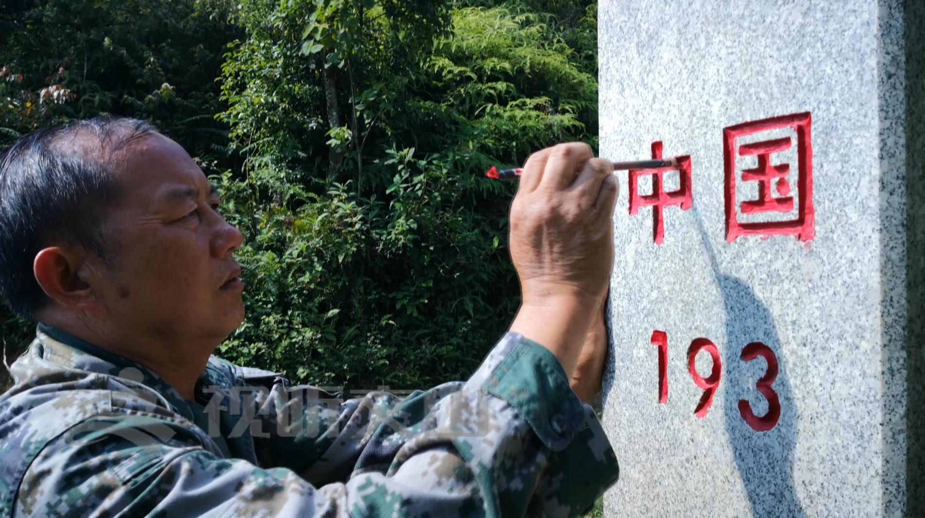 文山黃牛打架比賽，傳統(tǒng)與爭議的碰撞