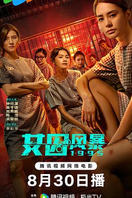 淘君爹最新影片，小巷深處的電影寶藏探索