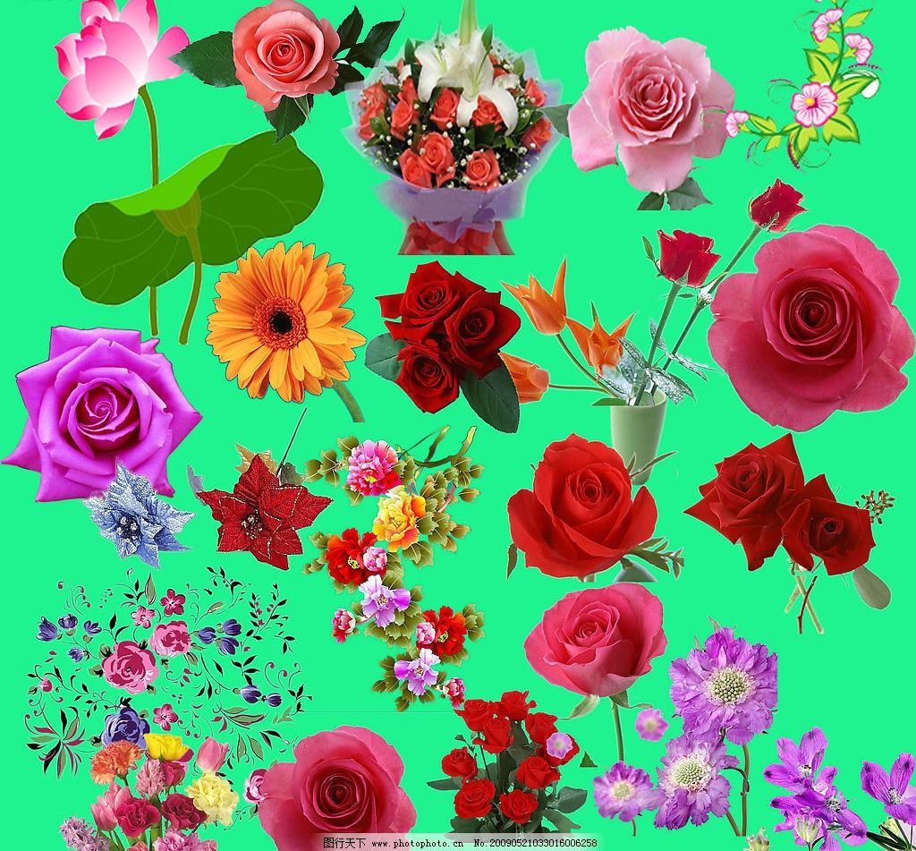 最新花款下載，愛與陪伴的溫馨之旅