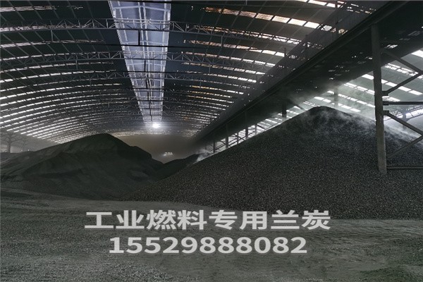 蘭炭價(jià)格揭秘，背后的故事與影響因素分析
