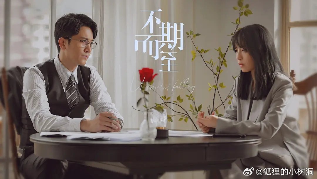 不期而至電視劇，從入門(mén)到進(jìn)階的觀看指南