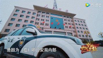 張少華最新動態(tài)揭秘，演藝生涯新篇章探索