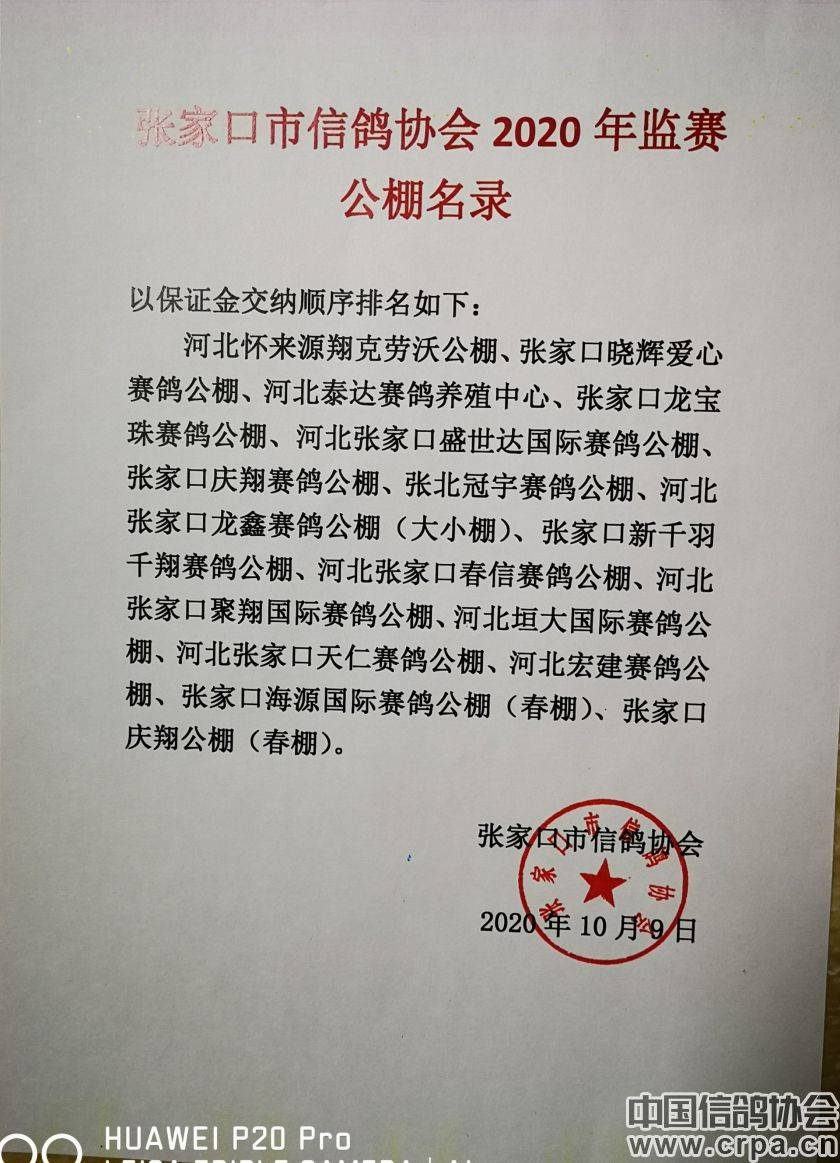 東光信鴿協(xié)會最新通告，小巷深處的獨(dú)特風(fēng)味揭秘與信鴿活動(dòng)更新通知