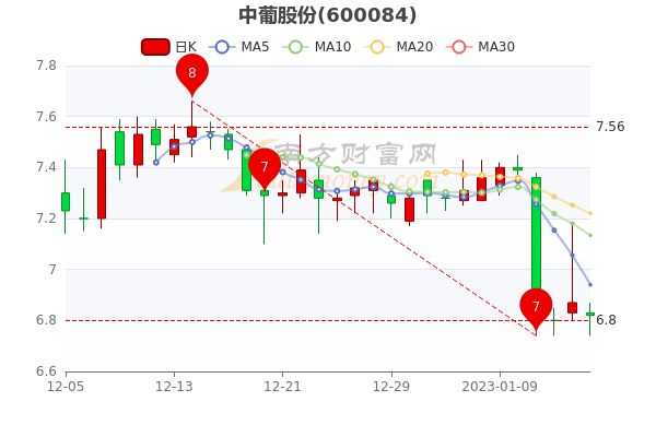 中葡股份股票行情深度分析與展望，未來走勢展望及行業(yè)前景預(yù)測。
