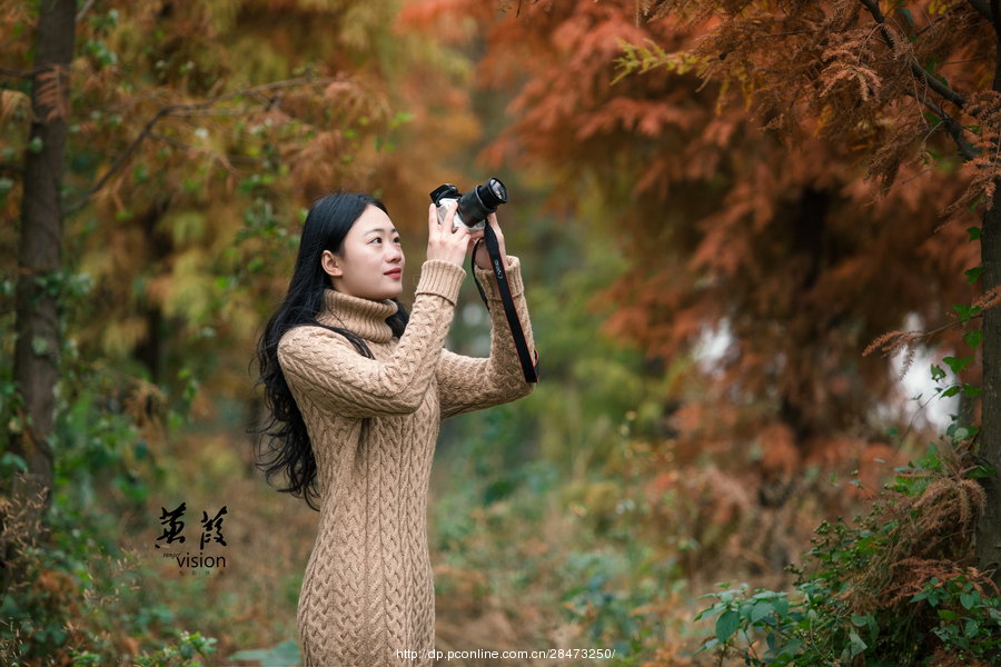 伊人在線電影，探索現(xiàn)代網(wǎng)絡(luò)影視的新境界
