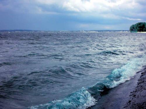 佳木斯新版，時代印記與變遷的見證者