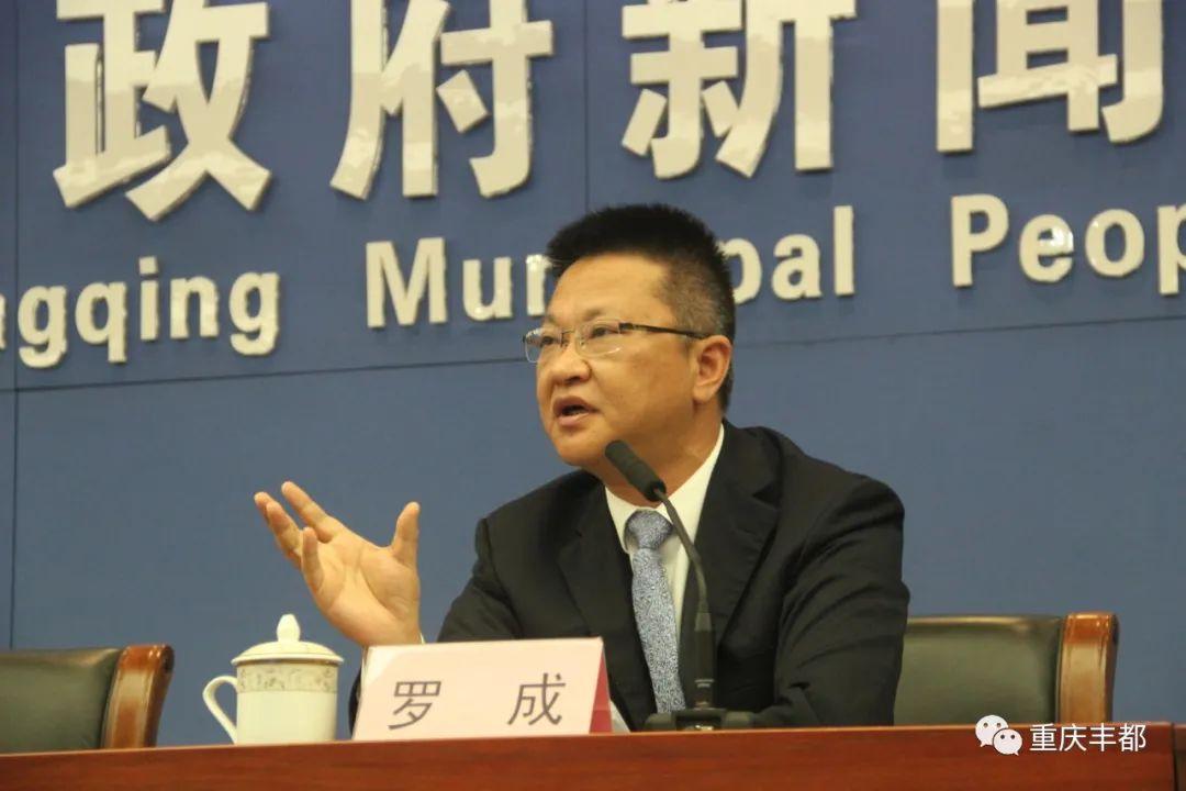 豐都新聞快訊，日常溫情與陪伴的瞬間