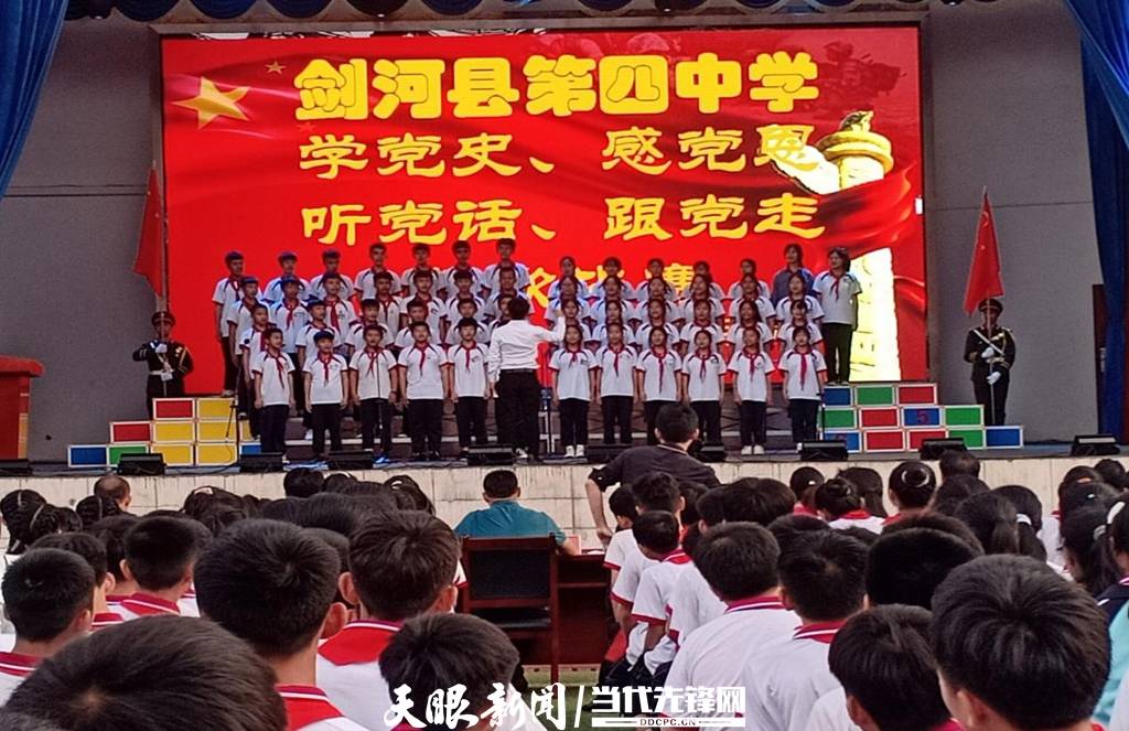 青蛙與狗的泳池挑戰(zhàn)，揭秘游泳比賽背后的故事，青蛙夢工廠的秘密探索