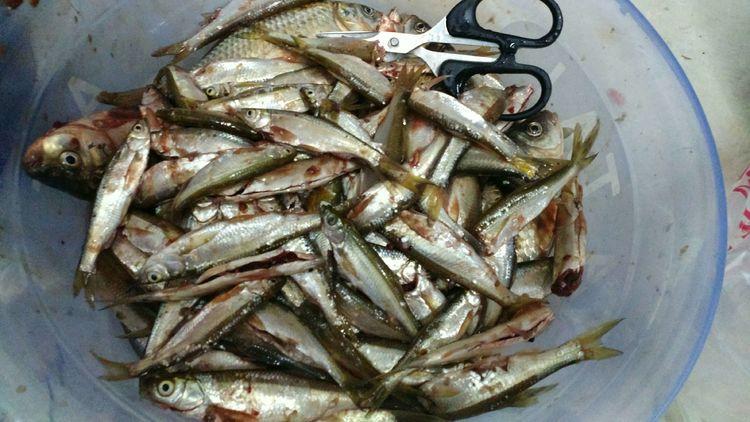 昆明最新野釣地點探索，重拾生活激情與自信的自然之旅