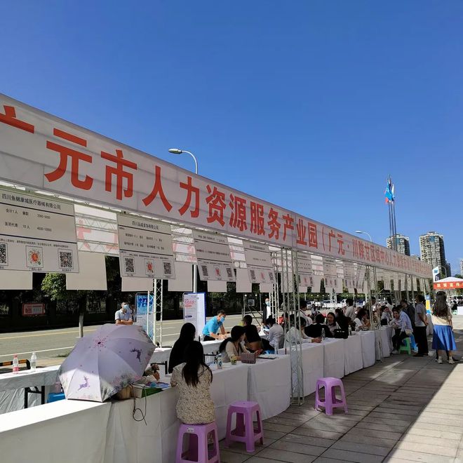 廣元最新招聘資訊詳解，觀點闡述與解析