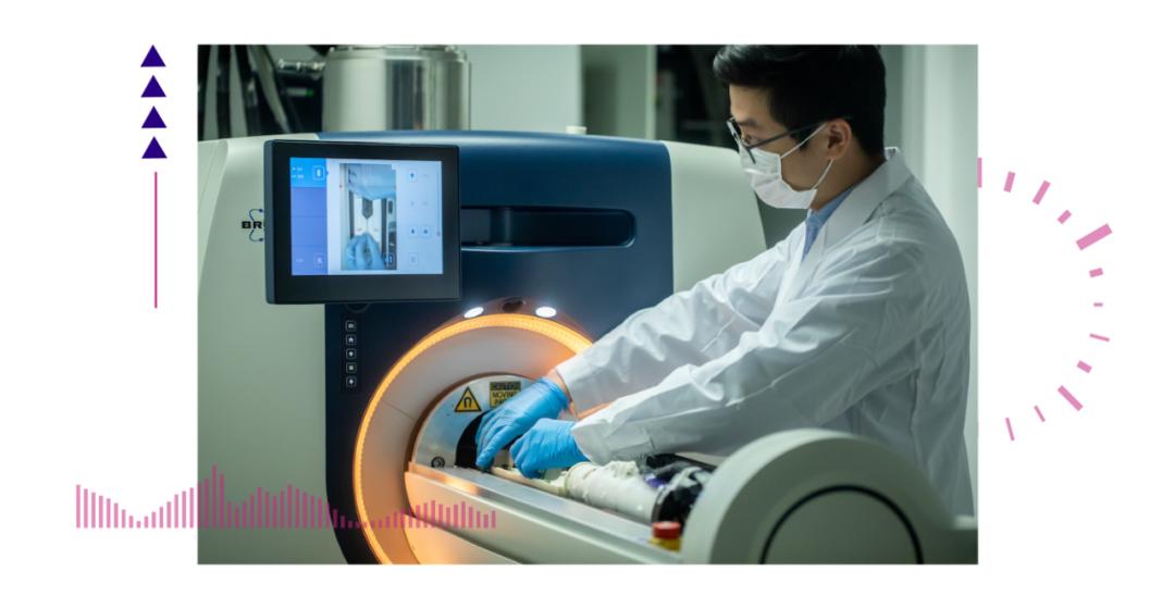 香港脊髓研究取得新進(jìn)展，探索自然美景的心靈之旅新篇章