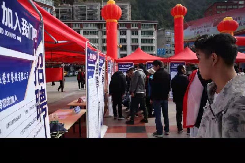 青白江招聘信息探索，小巷中的職業(yè)機遇