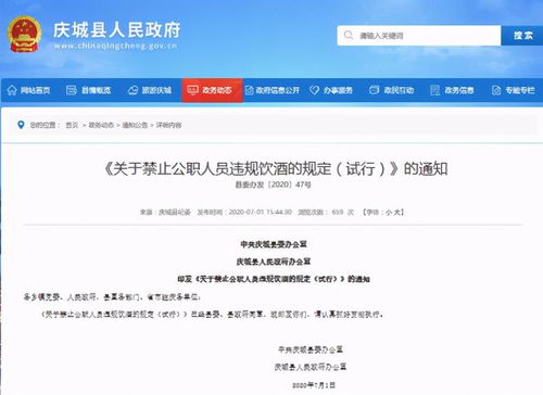 酒駕處罰2024最新標準詳解，步驟指南與更新概覽