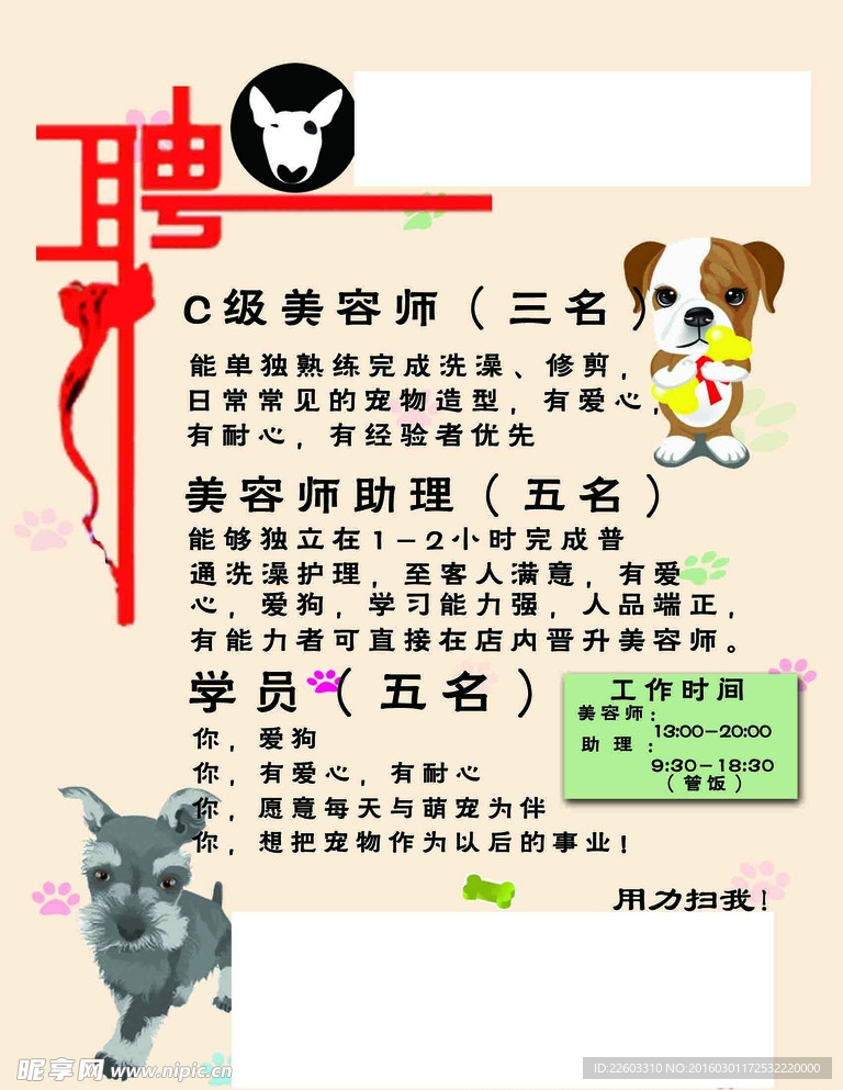 寵物店招聘最新動態(tài)，共探自然之美，尋求內(nèi)心寧靜