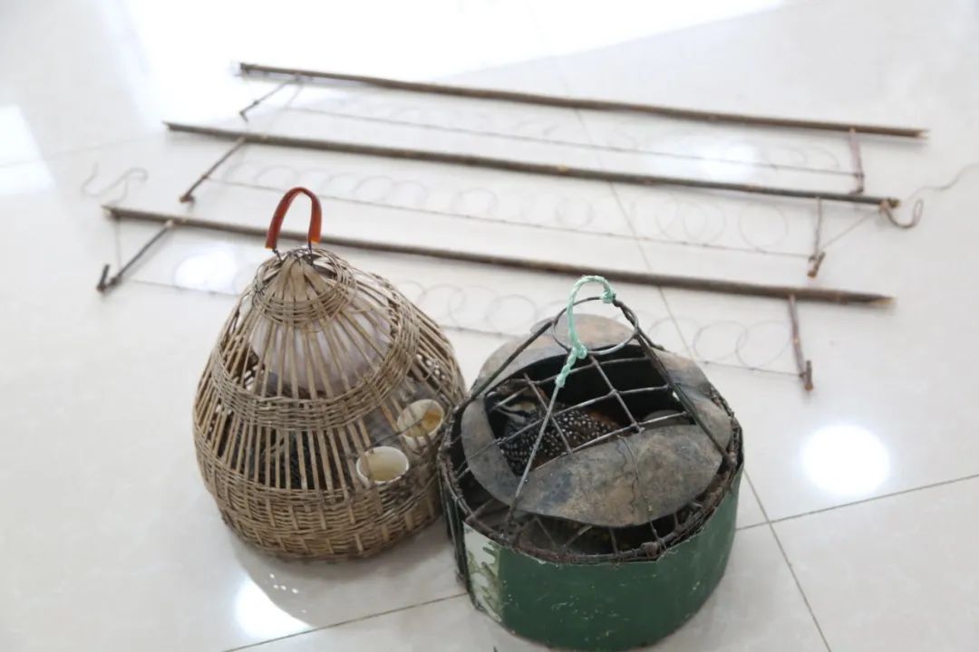 小巷中的神秘寶藏揭秘，最新捕鳥工具揭秘