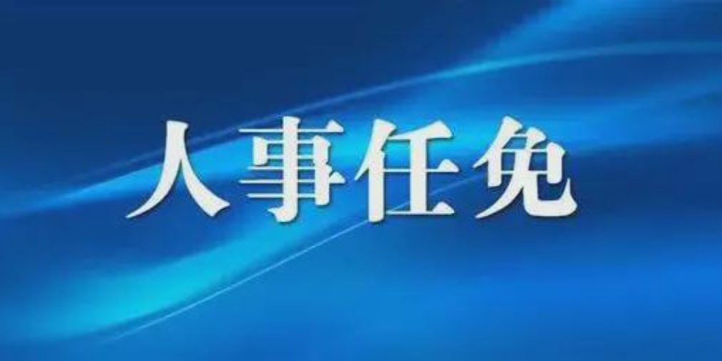 成都人事任免背后的故事，小巷獨特風(fēng)味小店與城市的脈動