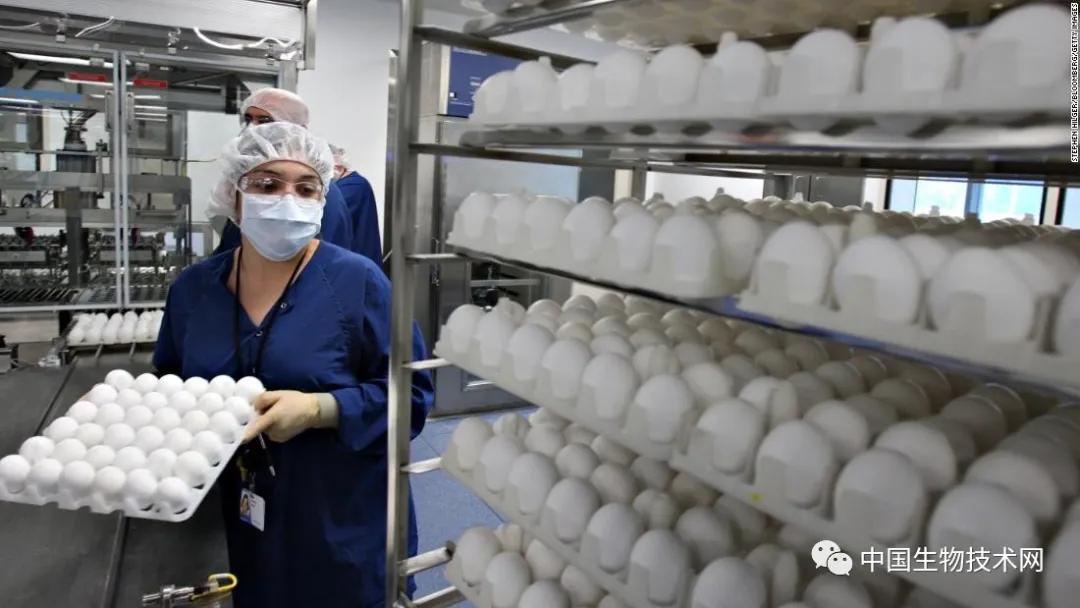 最新流感疫苗，科技助力健康新生活保護(hù)您免受流感侵襲