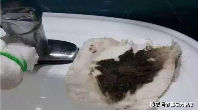 揭秘水污染真相，小杰的河流探索之旅——溫馨河流的秘密揭秘視頻