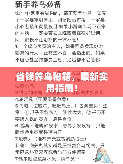 最新養(yǎng)鳥法規(guī)解析，觀點(diǎn)闡述與深度探討