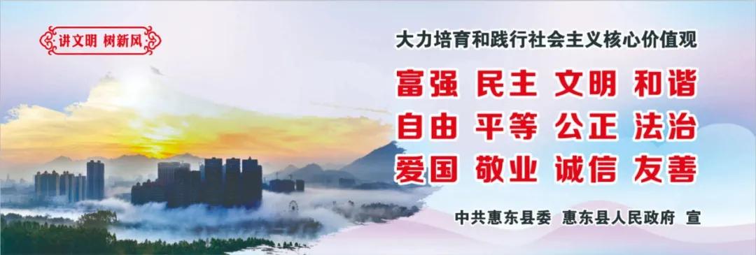 惠州肺炎最新動(dòng)態(tài)，小巷深處的獨(dú)特小店背后的故事